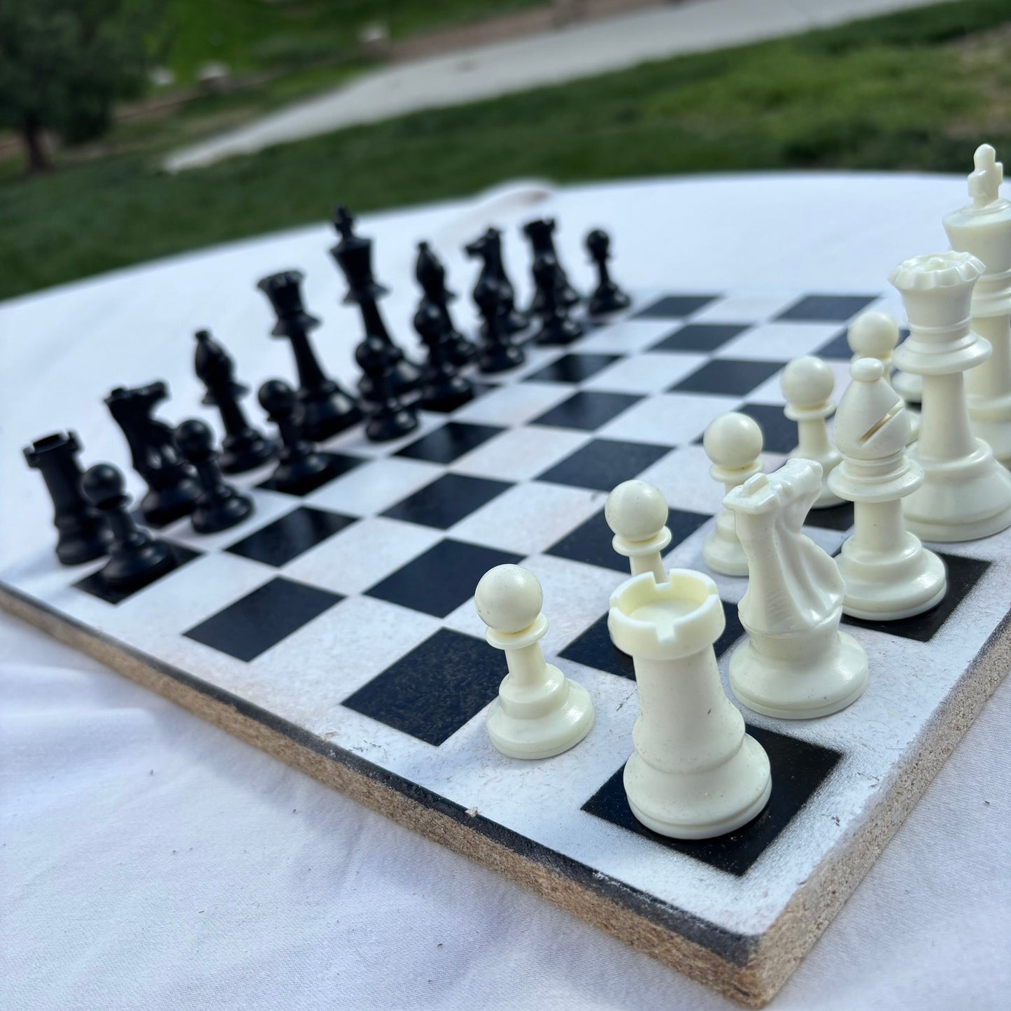 White & Black - Painted Chess Set