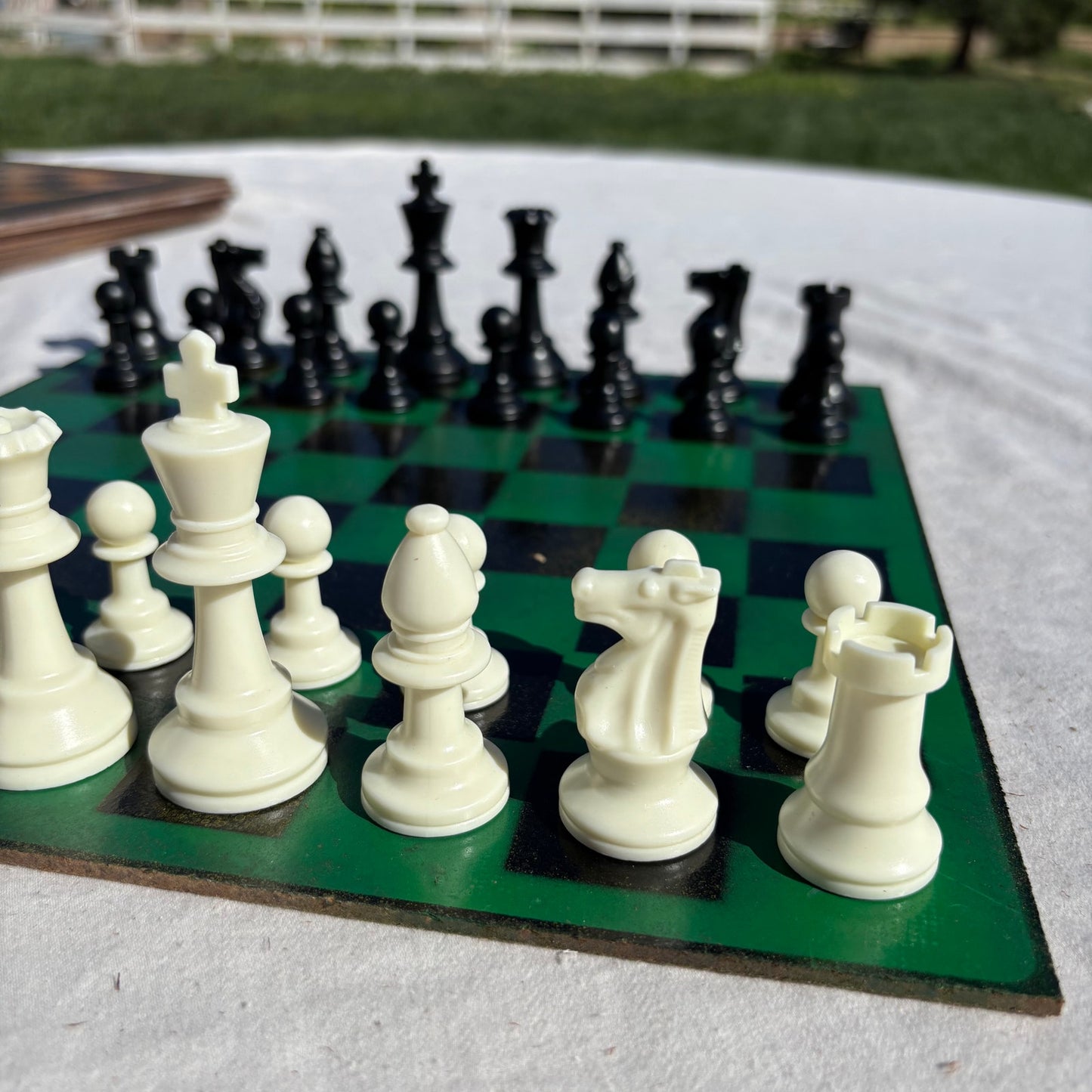 Green & Black - Painted Chess Set