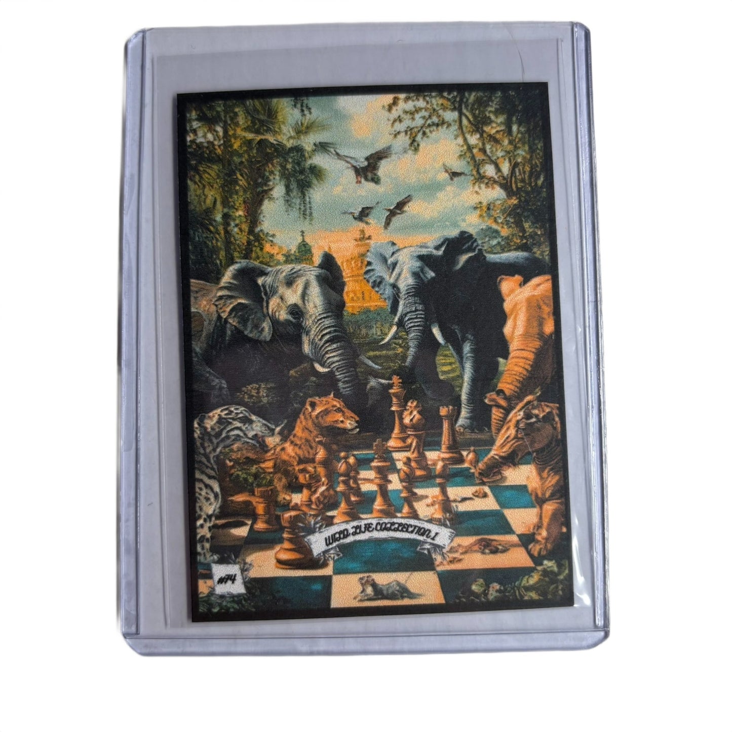 Wild Life Collection 1 - Trading Card