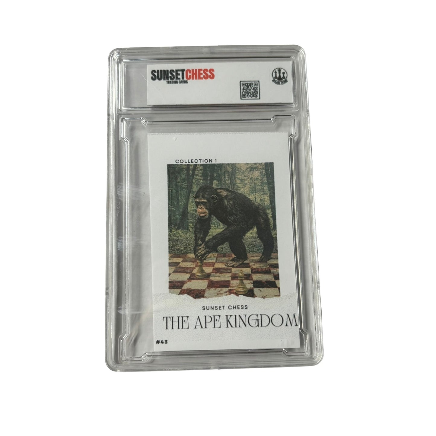 The Ape Kingdom Collection 1 - Premium Trading Card