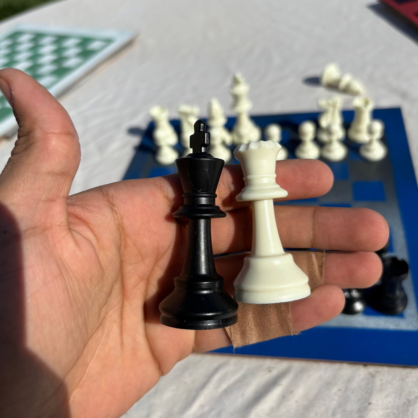 Silver Blue - Painted Chess Set