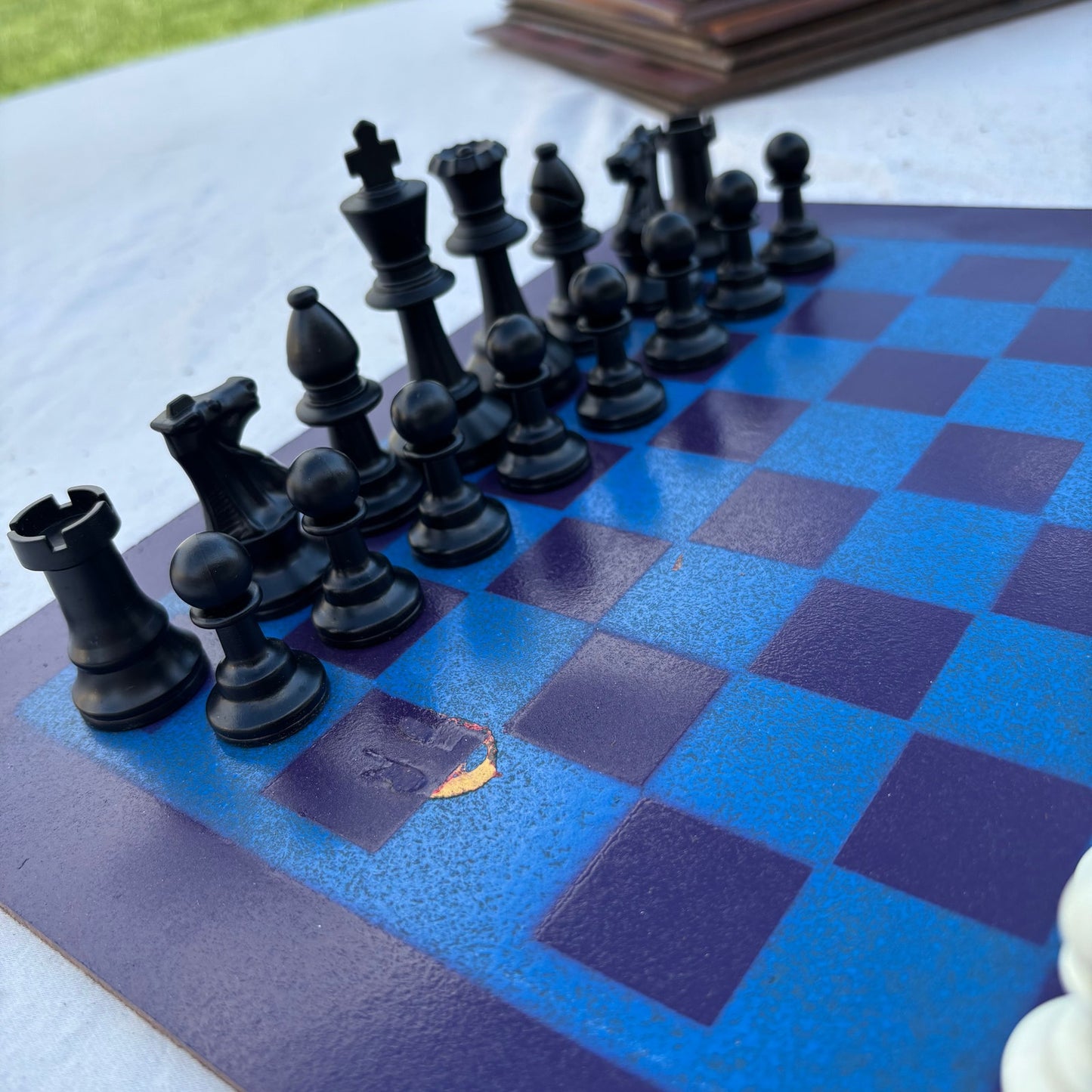 Hornets Purple & Blue - Painted Chess Set