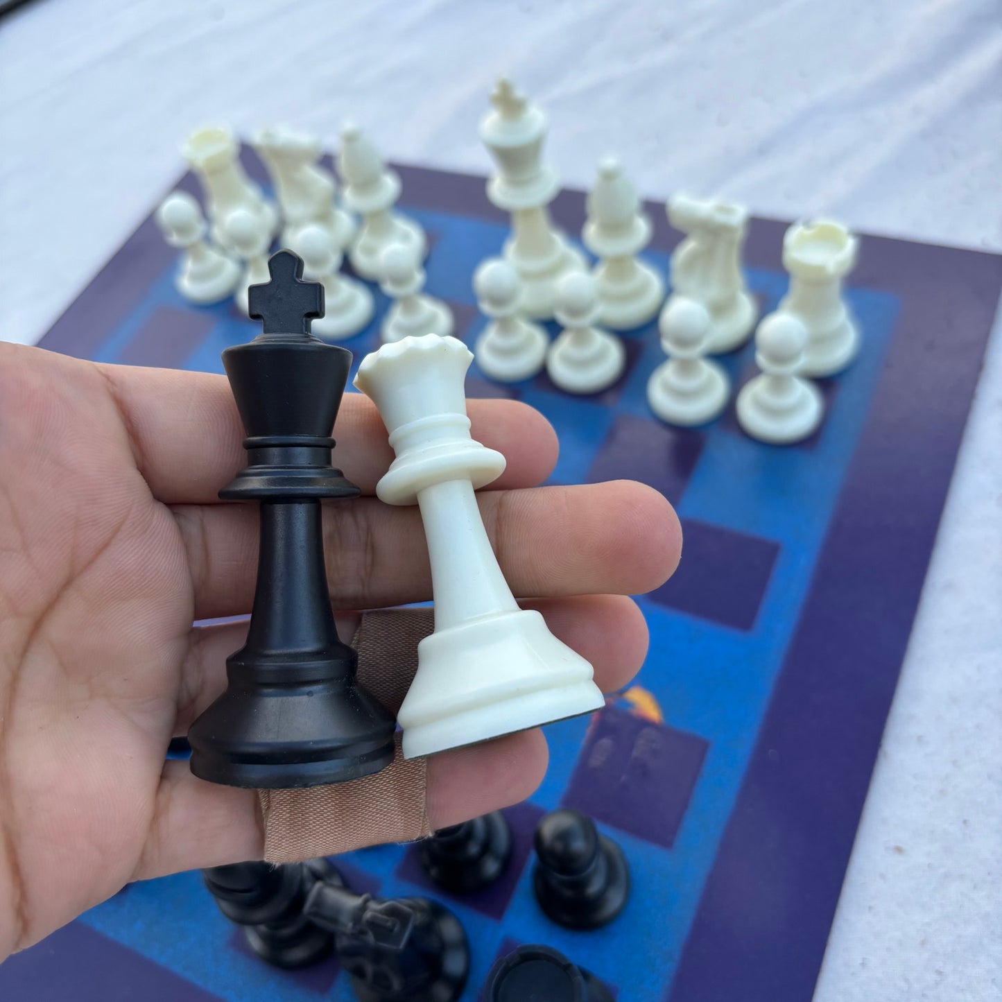 Hornets Purple & Blue - Painted Chess Set