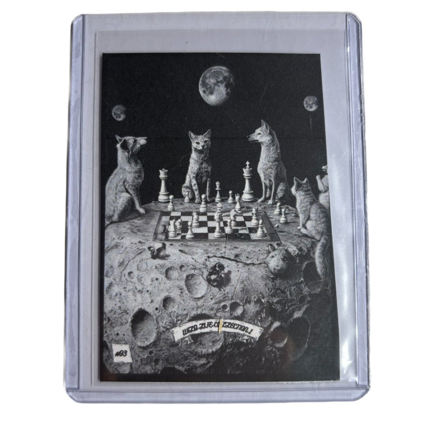 Wild Life Collection 1 - Trading Card