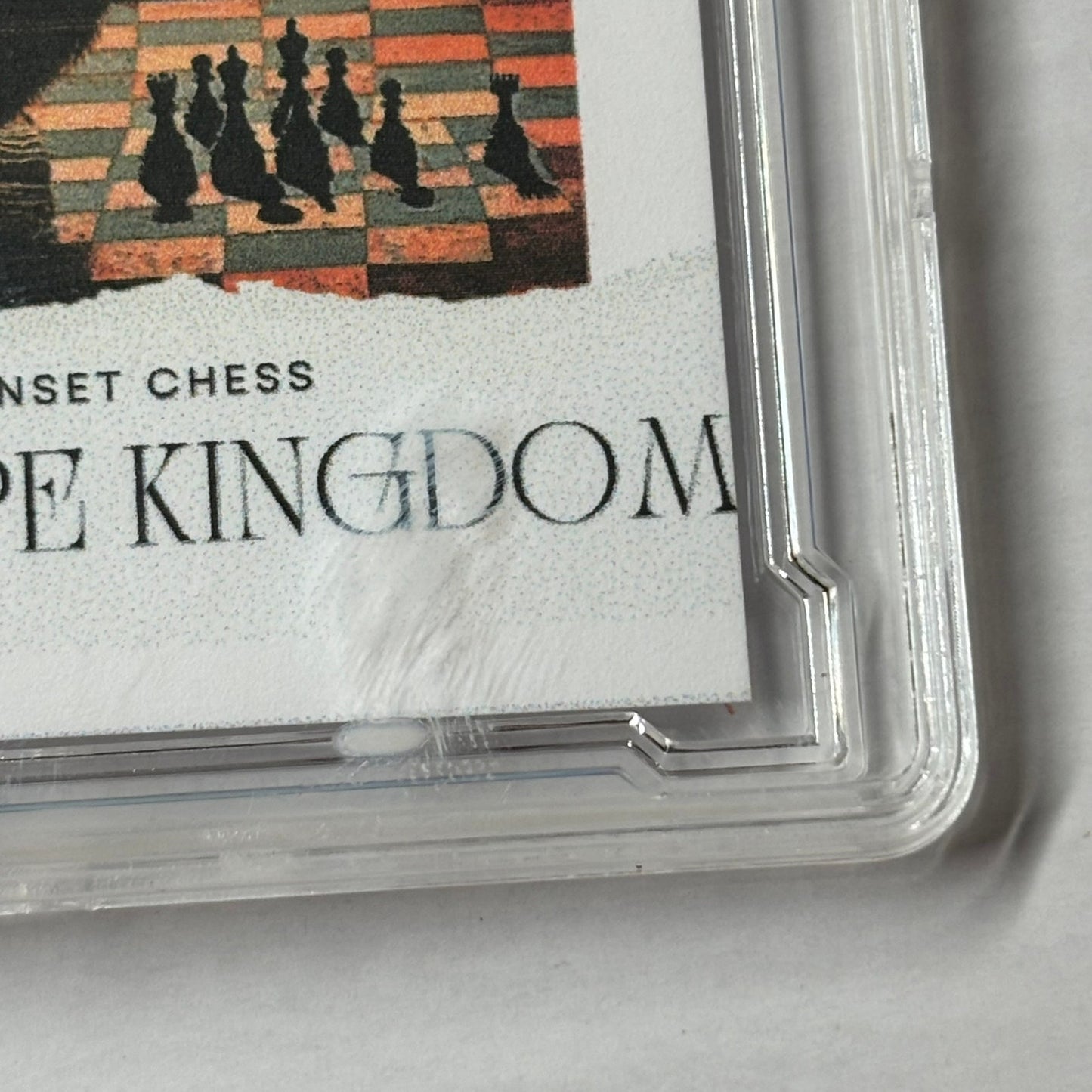 Ape Kingdom Collection 1 - Premium Trading Card