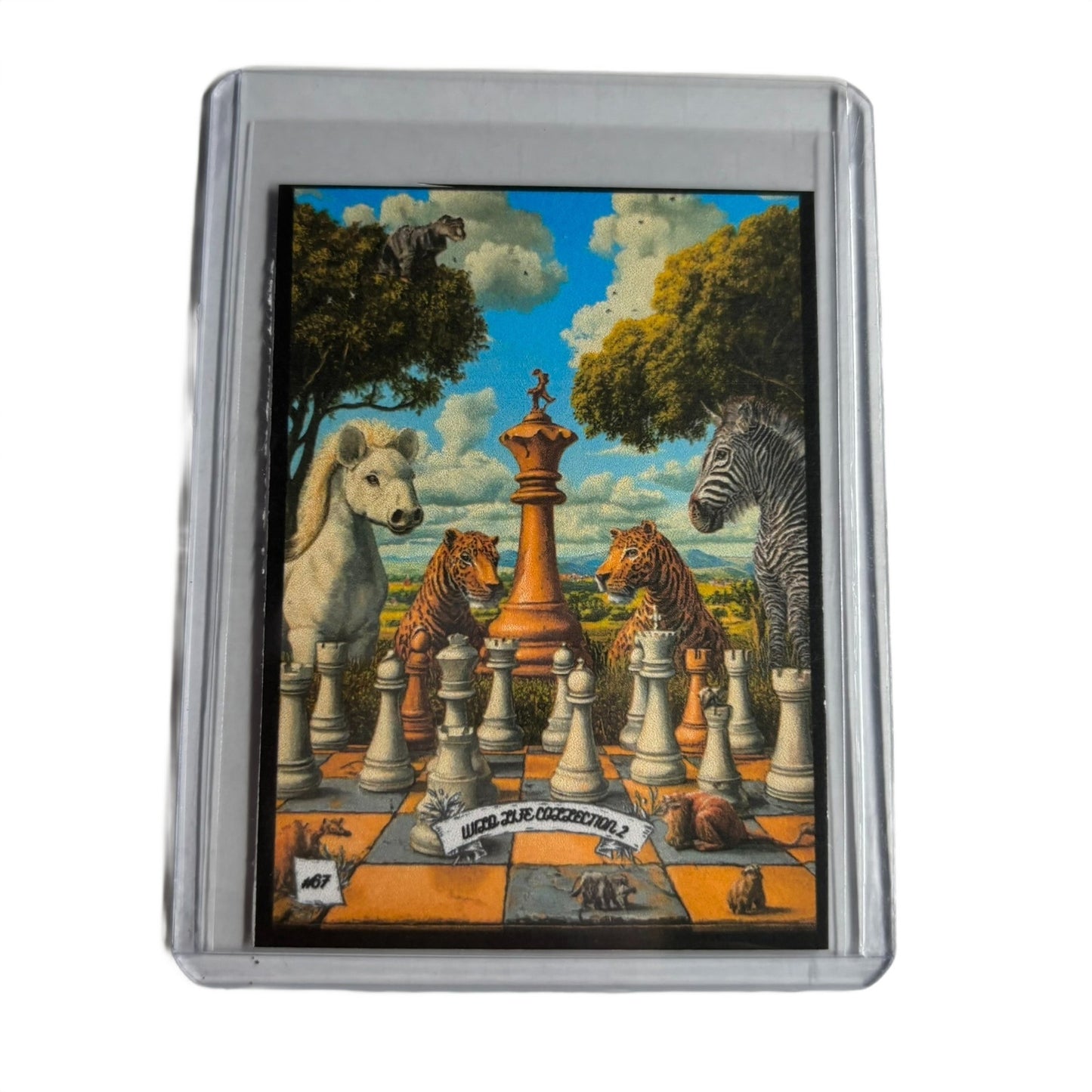 Wild Life Collection 2 - Trading Card