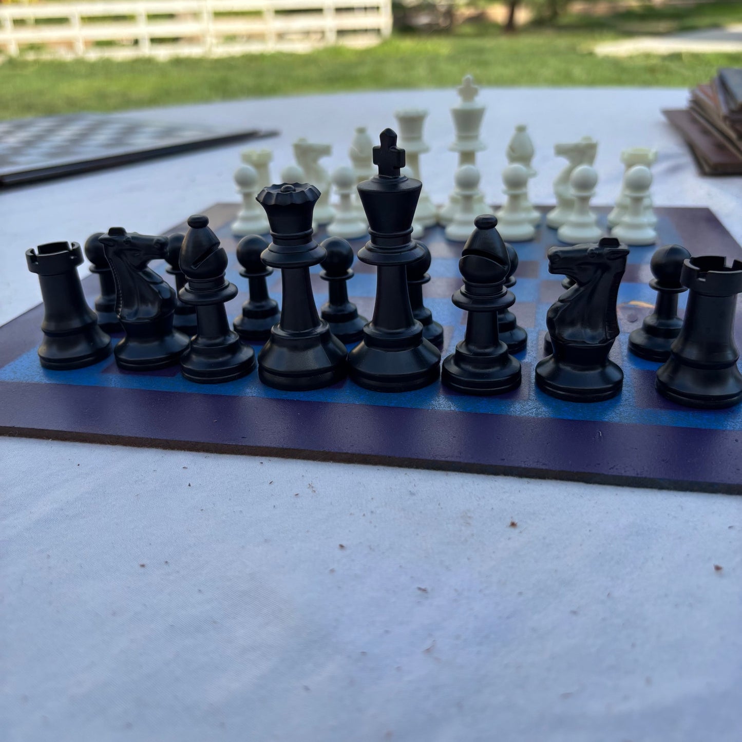 Hornets Purple & Blue - Painted Chess Set