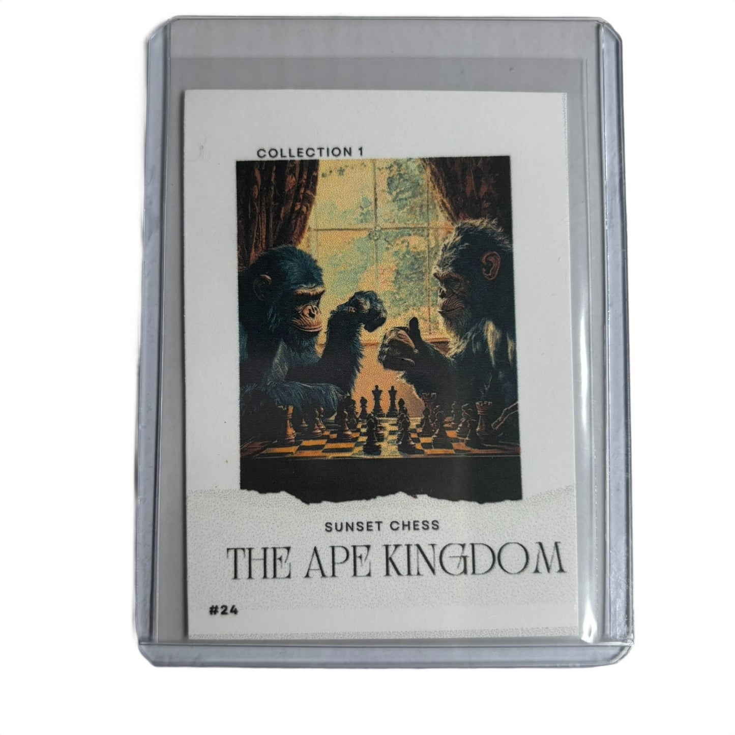 The Ape Kingdom Collection 1 Card #24 - Scrapbook Trading Card