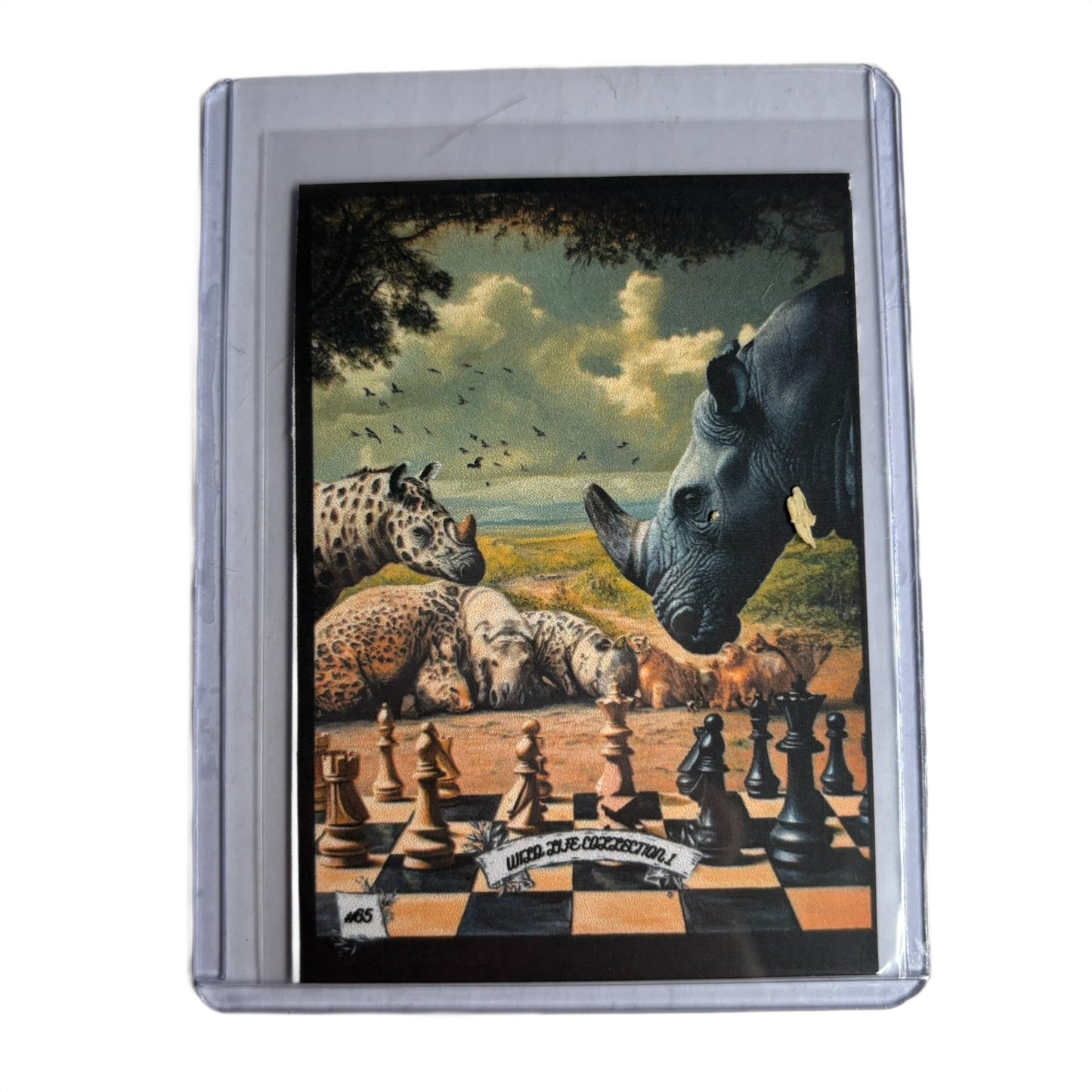 Wild Life Collection 1 - Trading Card