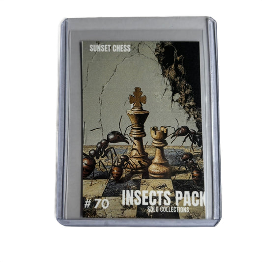 Insects Collection - Trading Card