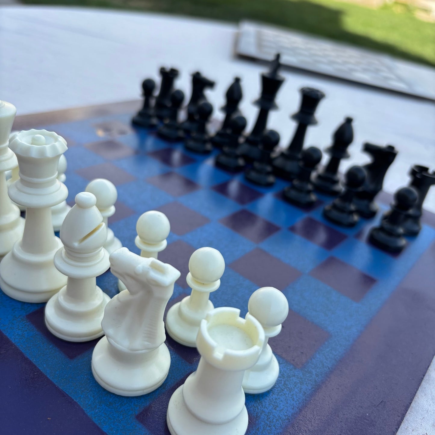 Hornets Purple & Blue - Painted Chess Set