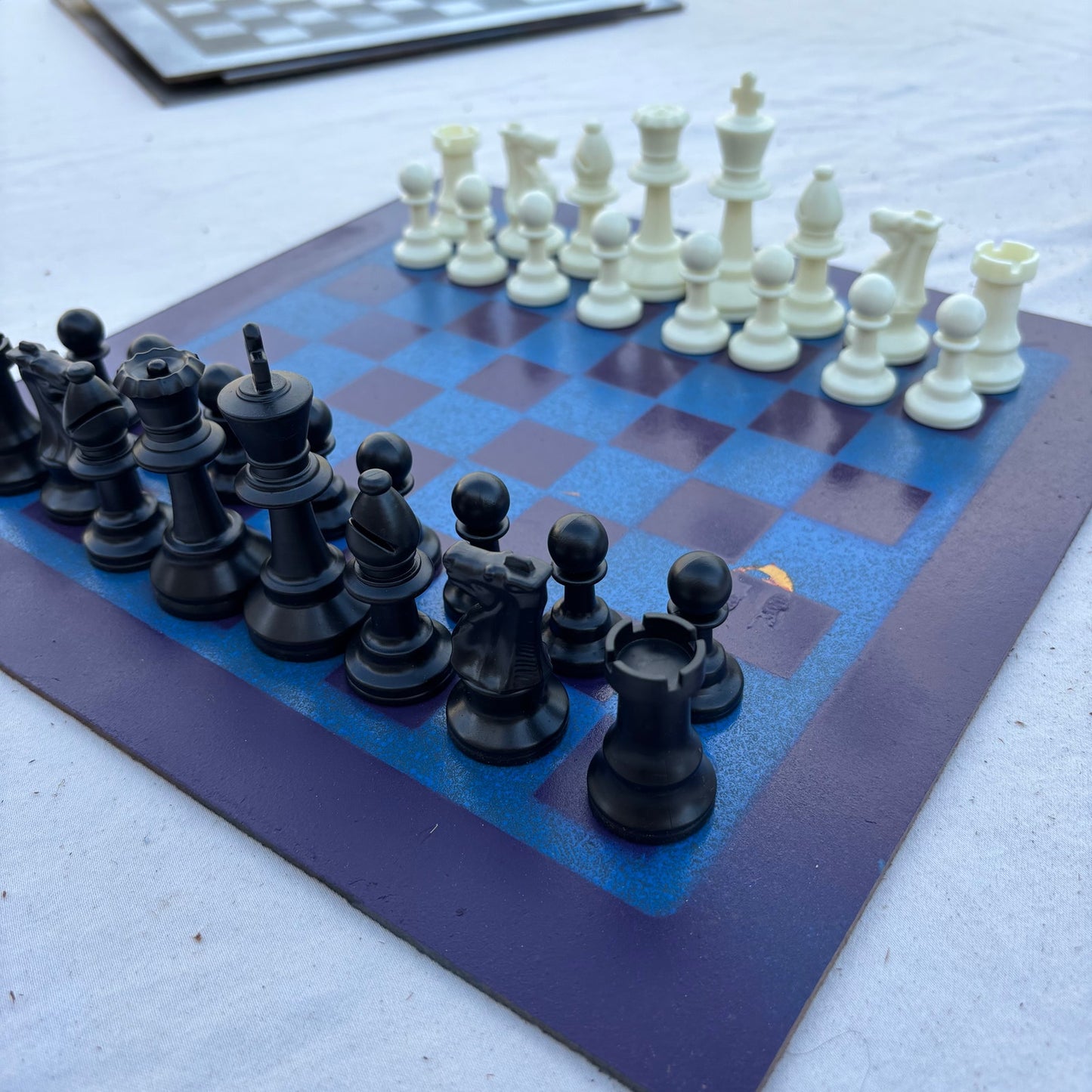 Hornets Purple & Blue - Painted Chess Set