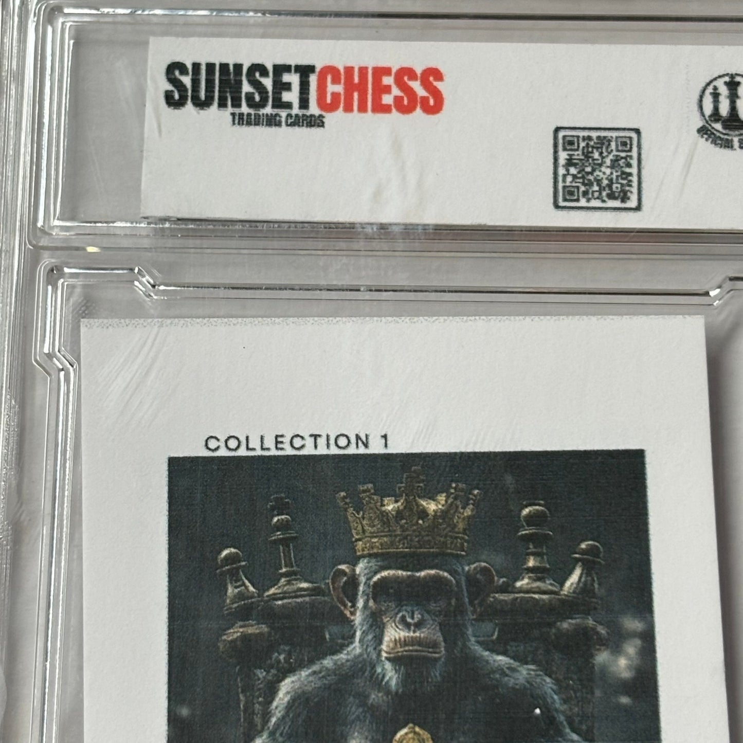 Ape Kingdom Collection 1 - Premium Trading Card