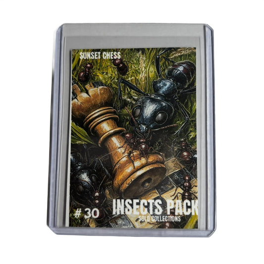 Insects Collection - Trading Card