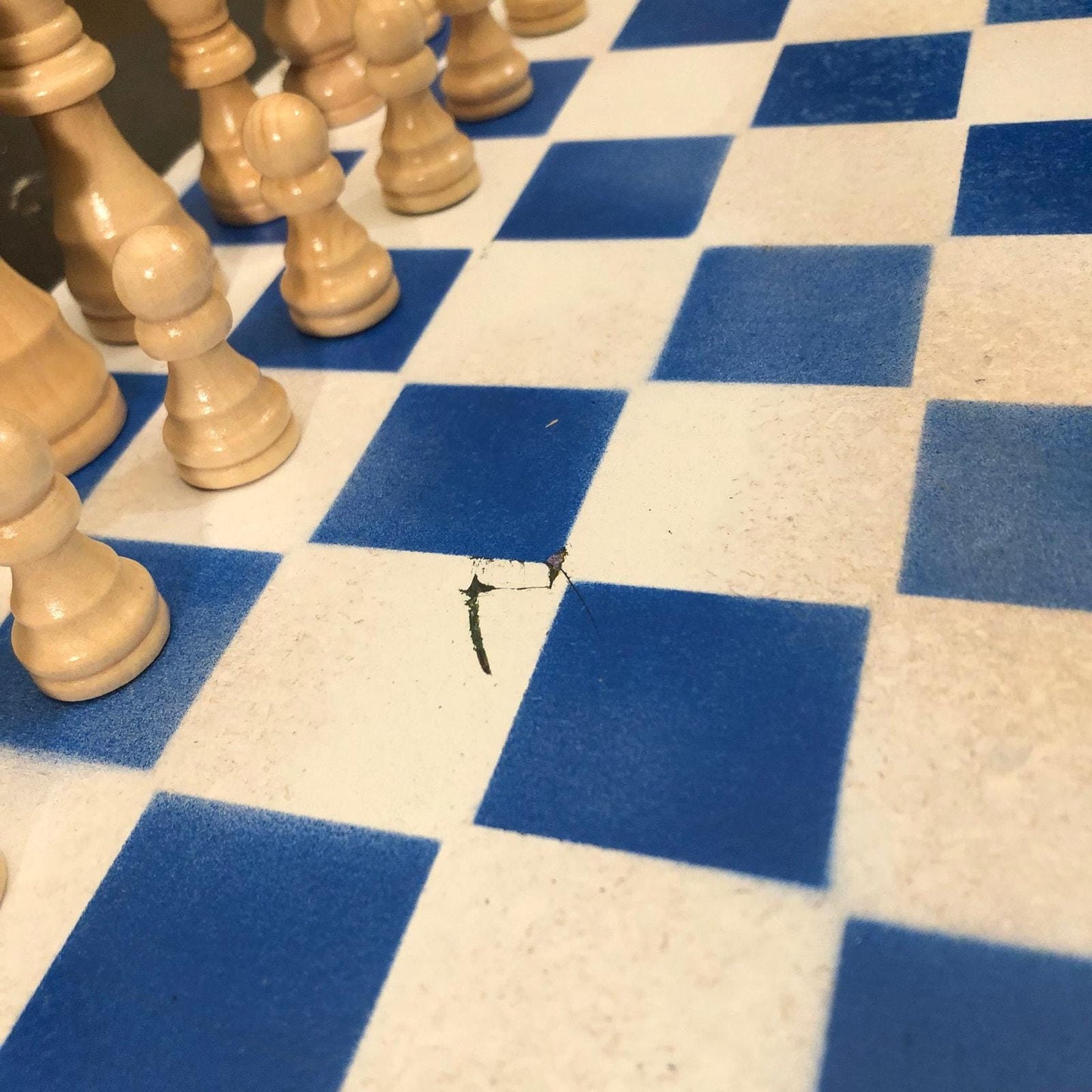 Chess Set - Simple White & Blue