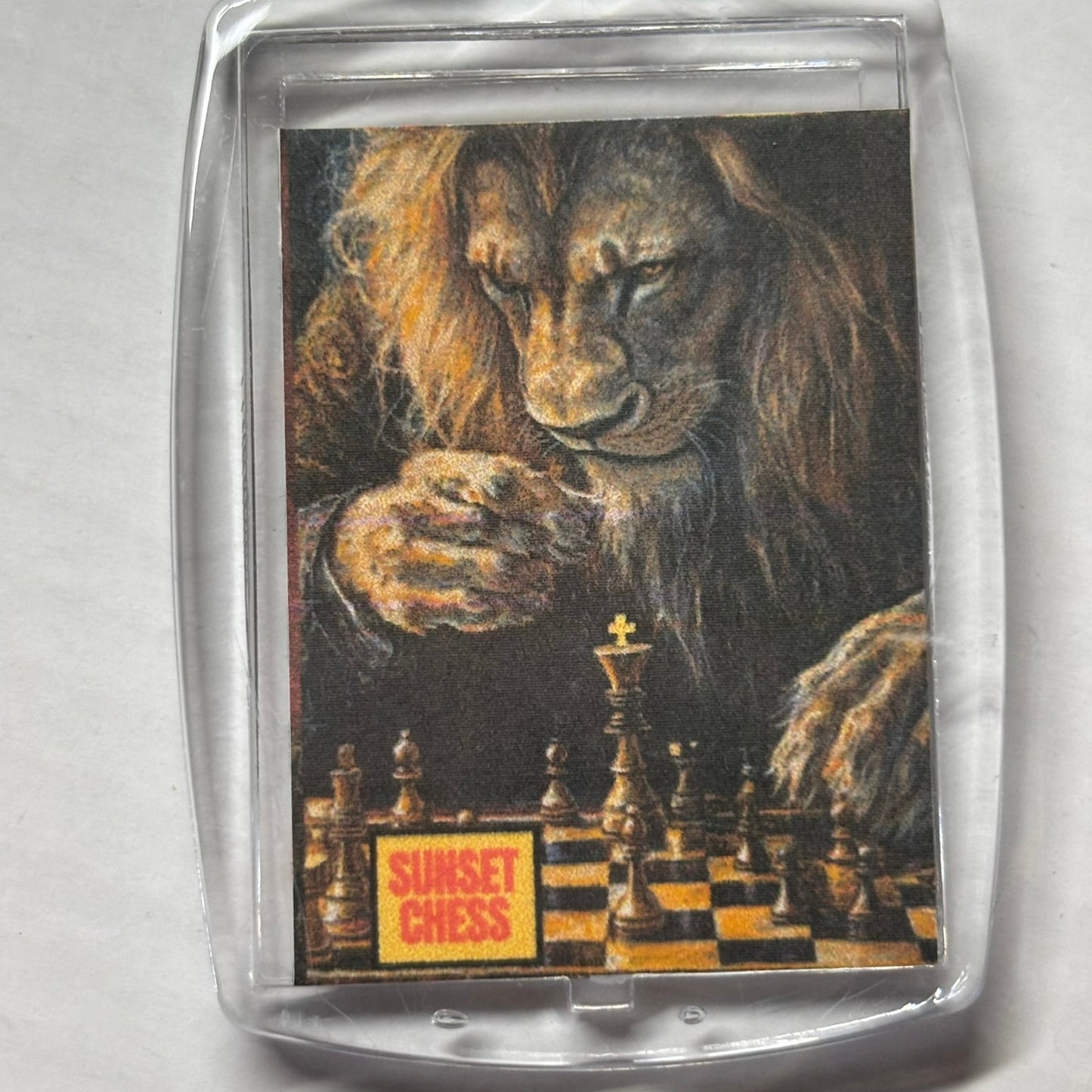 Papa Lion - Chess  Photo Keychain