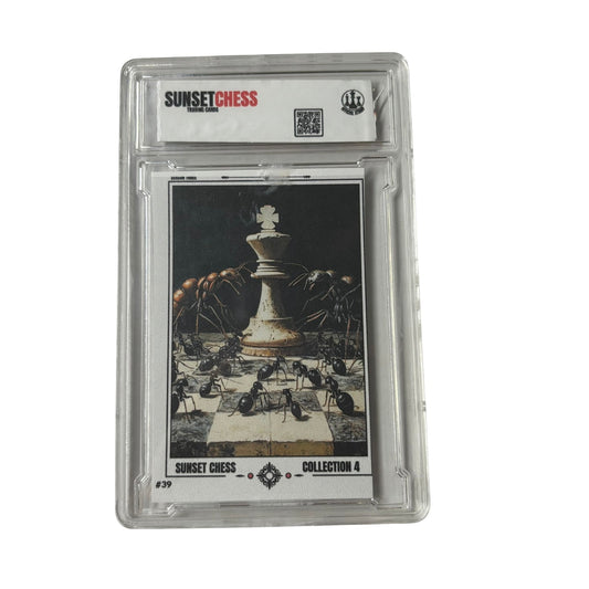 Season Three Collection - Premium Trading Card