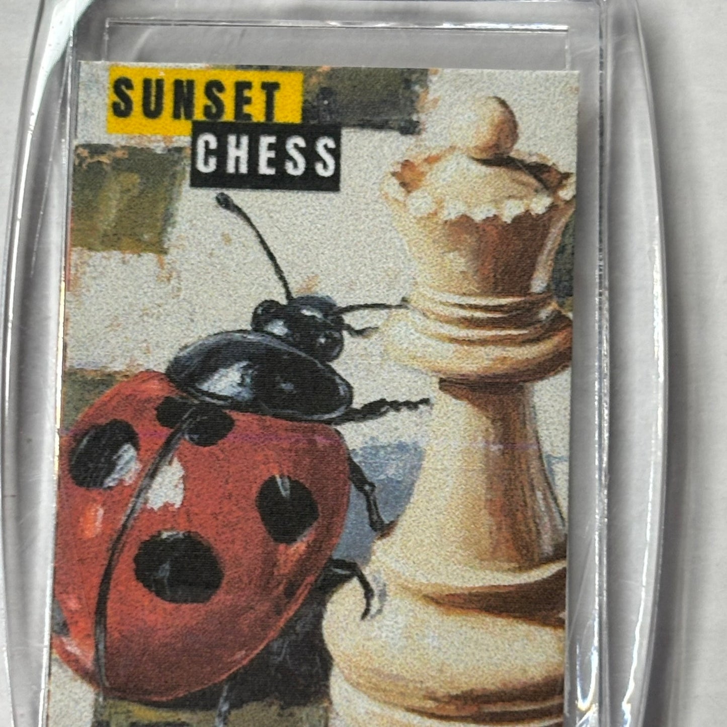 Lady Bug - Chess  Photo Keychain