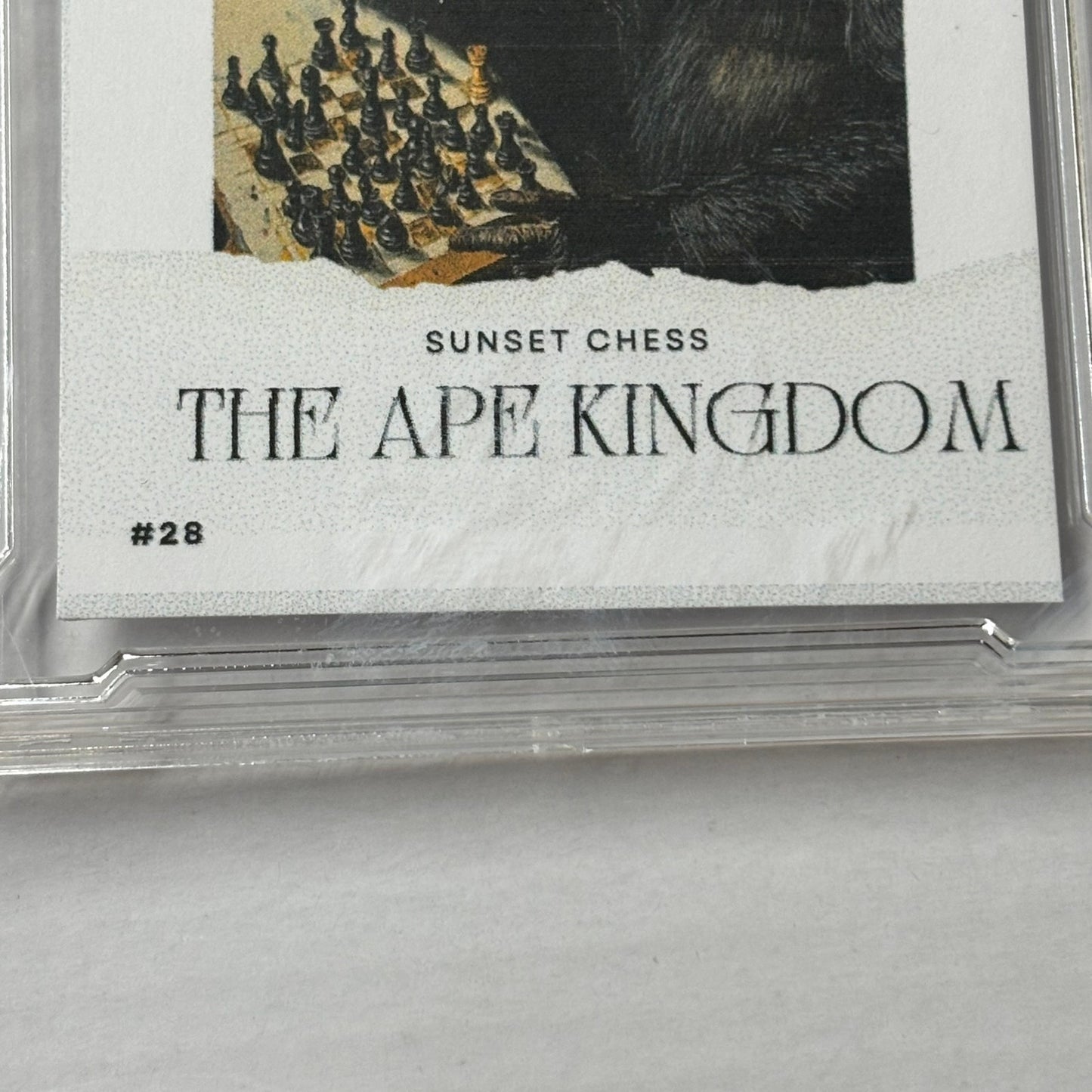 Ape Kingdom Collection 1 - Premium Trading Card