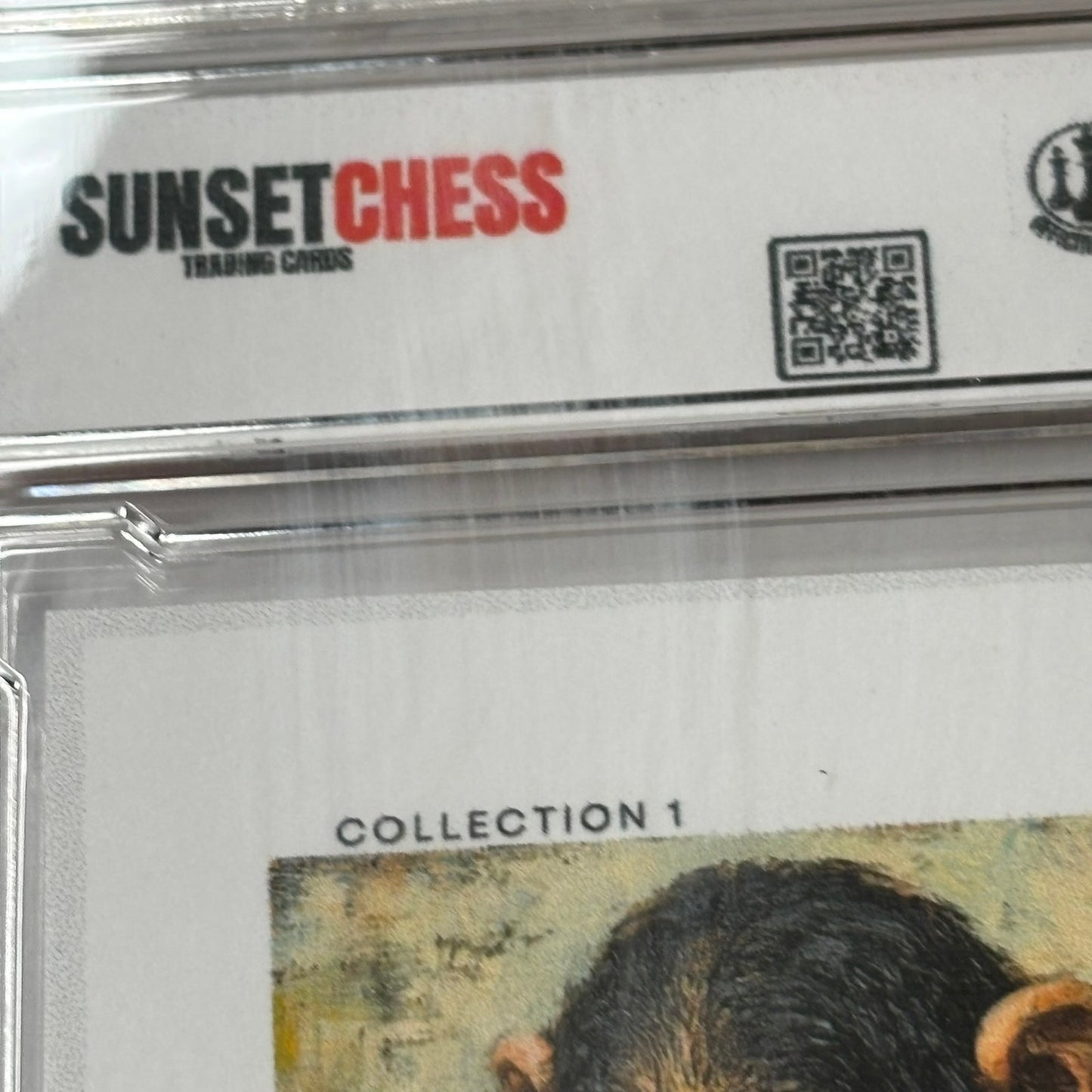 Ape Kingdom Collection 1 - Premium Trading Card