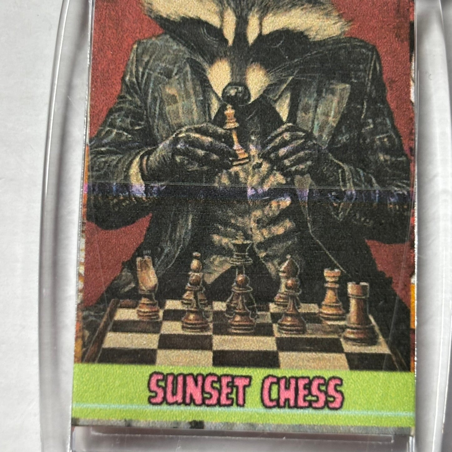 Raccoon - Chess  Photo Keychain