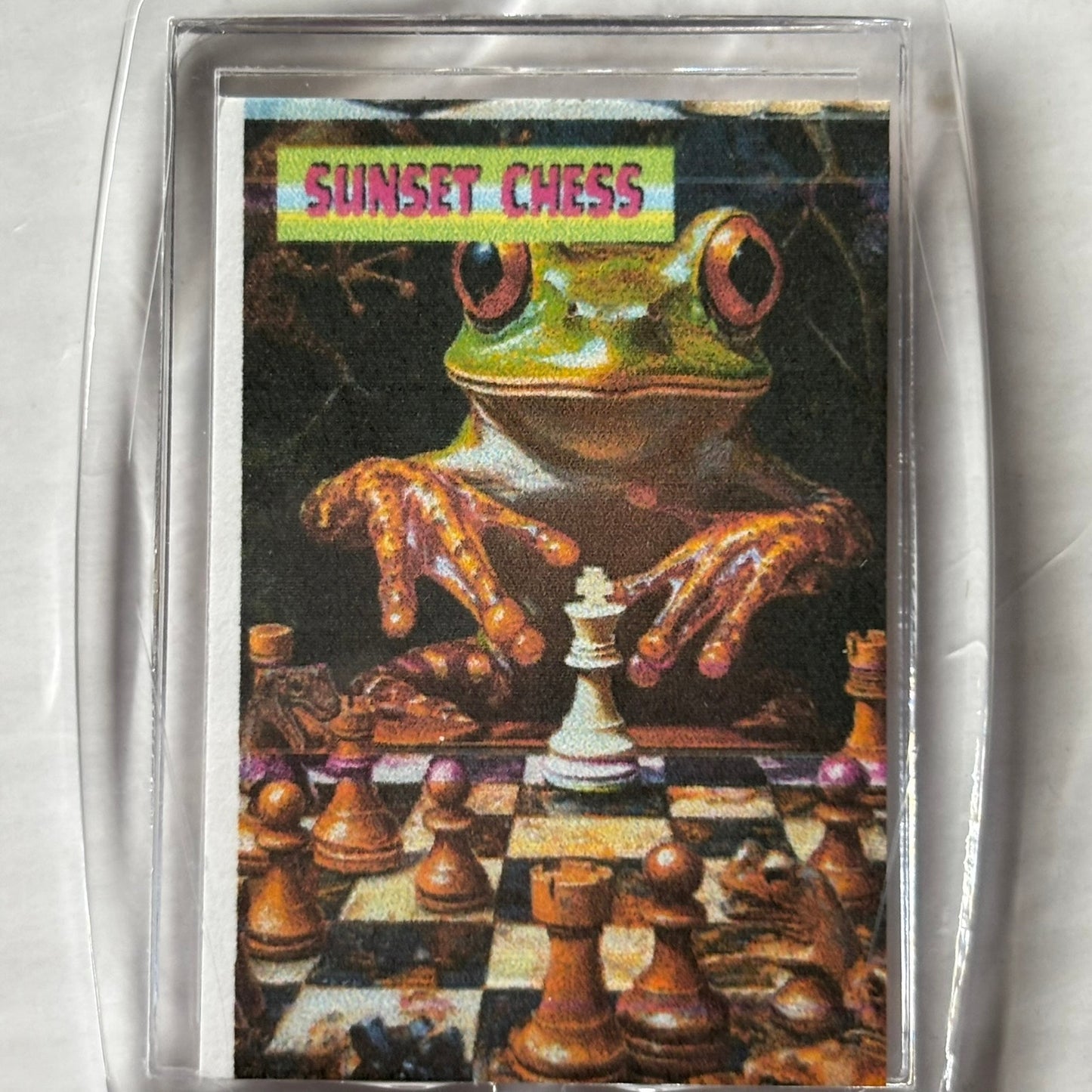 Frog Play - Chess  Photo Keychain