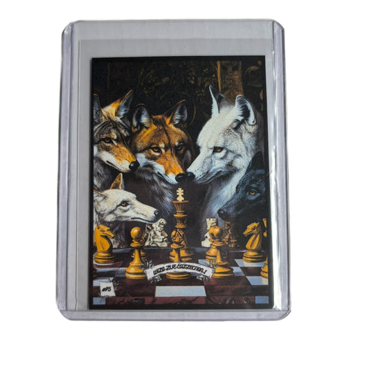 Wild Life Collection 1 - Trading Card