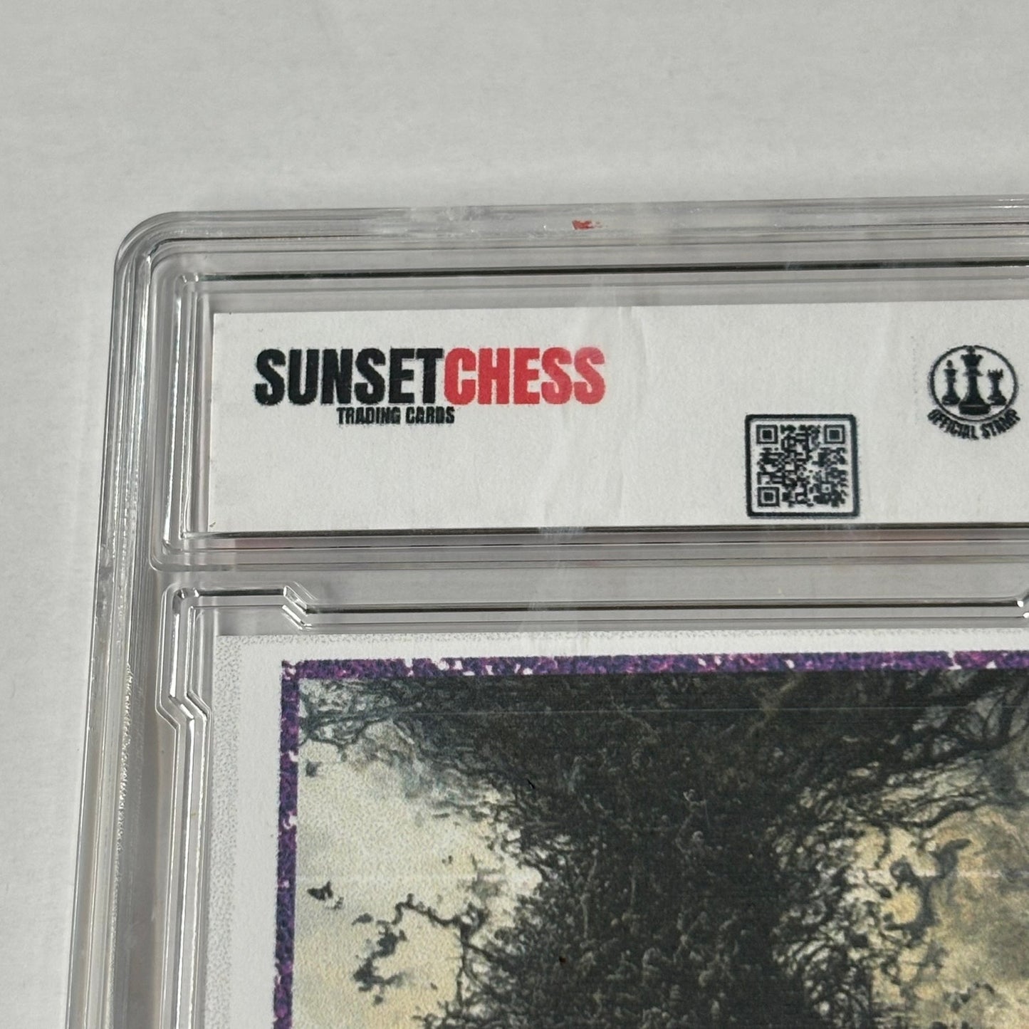 Purple Diamond Collection 2 - Premium Trading Card