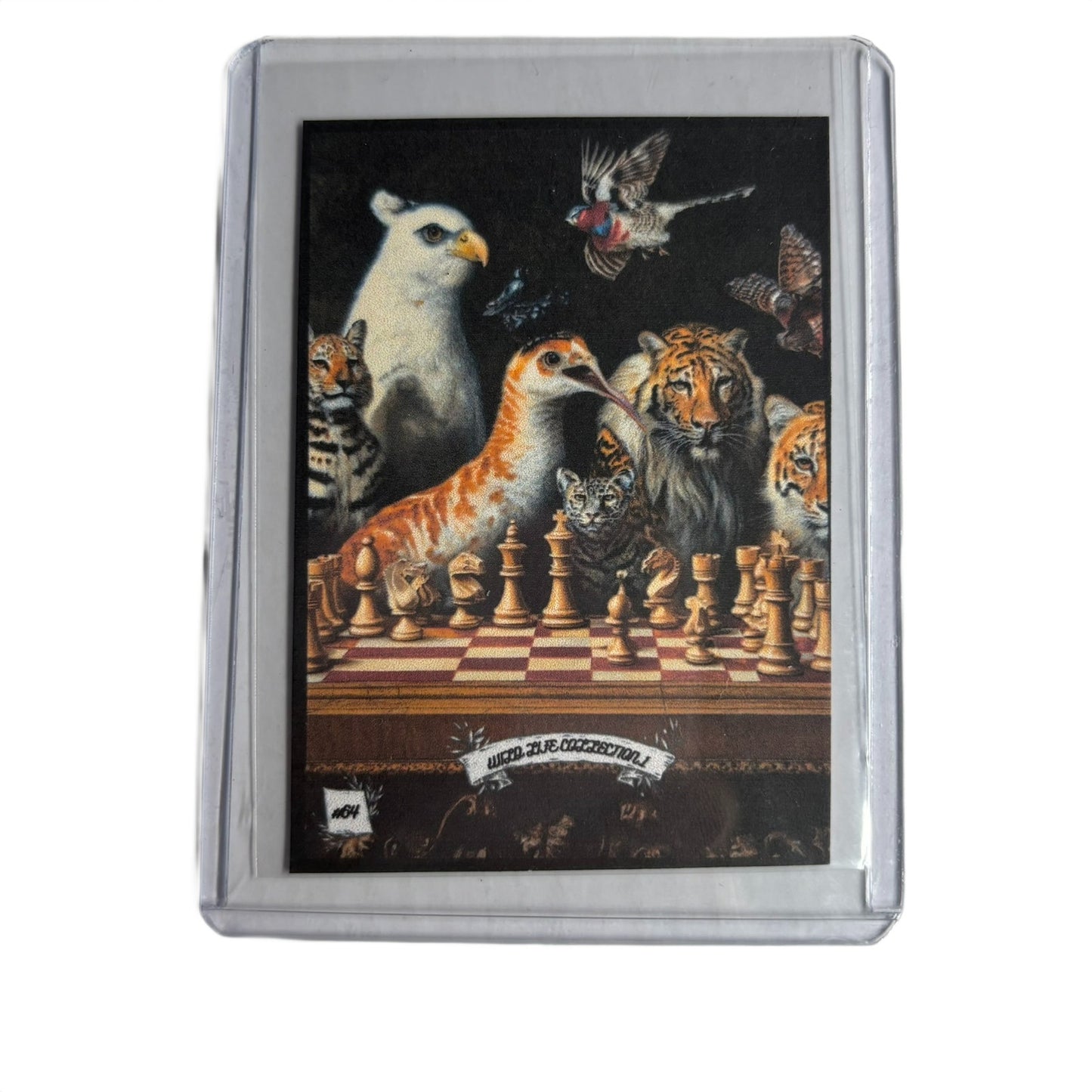 Wild Life Collection 1 - Trading Card