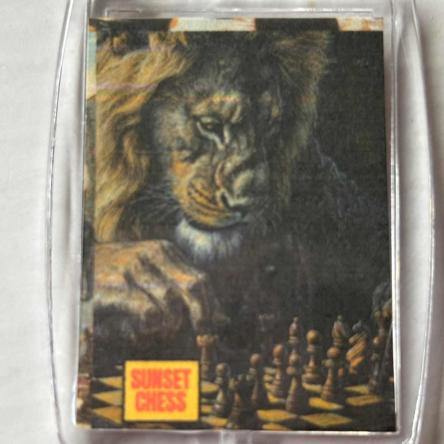 Lions Match - Chess  Photo Keychain