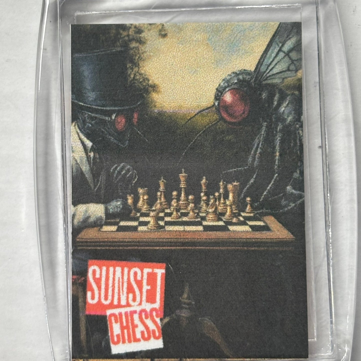 Flies Play Chess - Chess  Photo Keychain