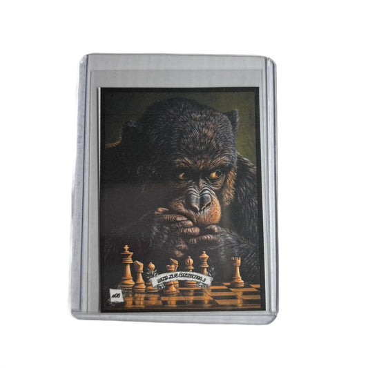 Wild Life Collection 3 - Trading Card