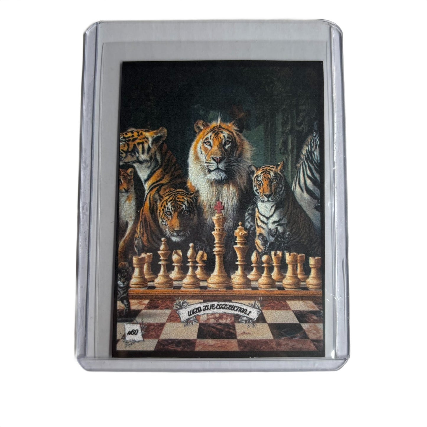 Wild Life Collection 1 - Trading Card