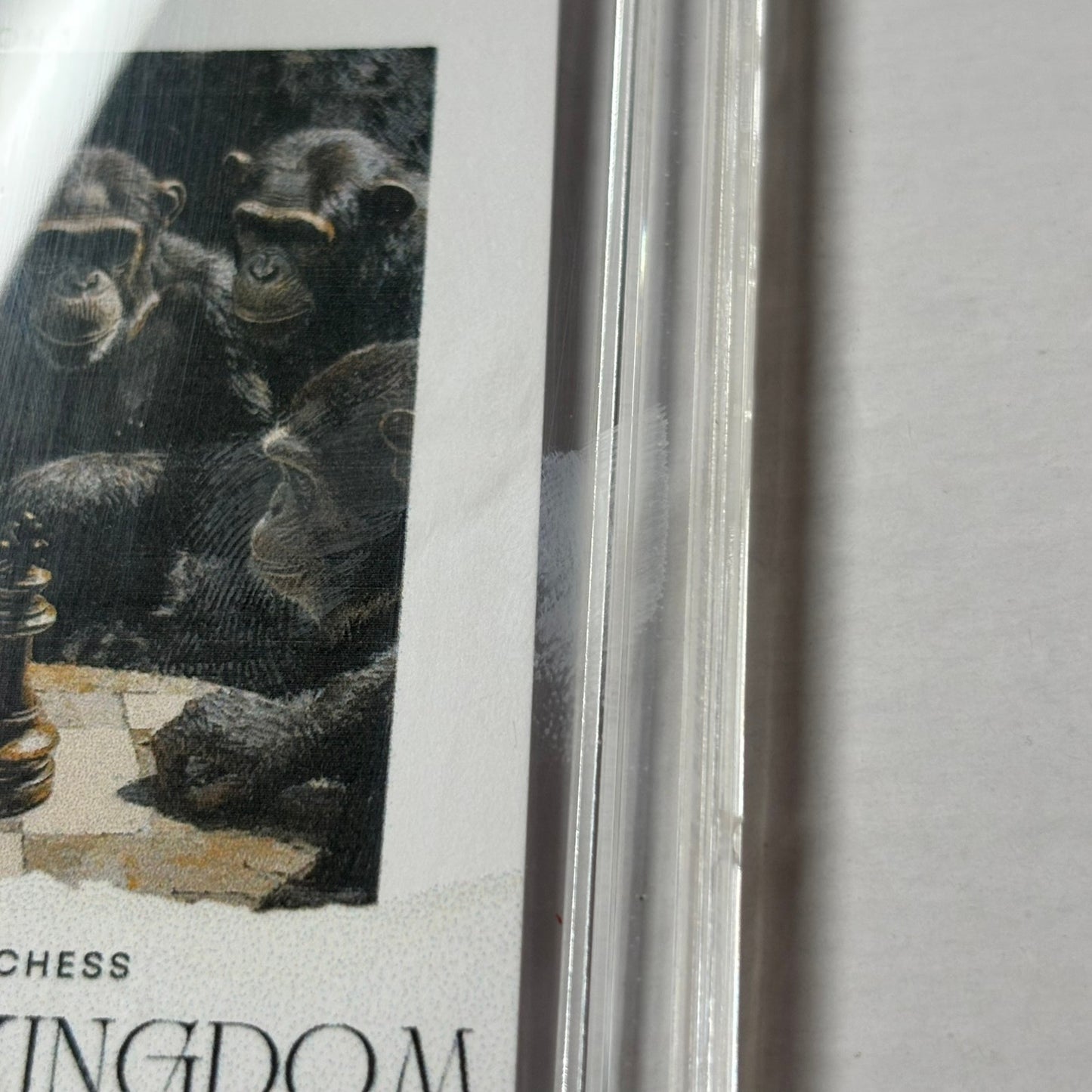Ape Kingdom Collection 1 - Premium Trading Card