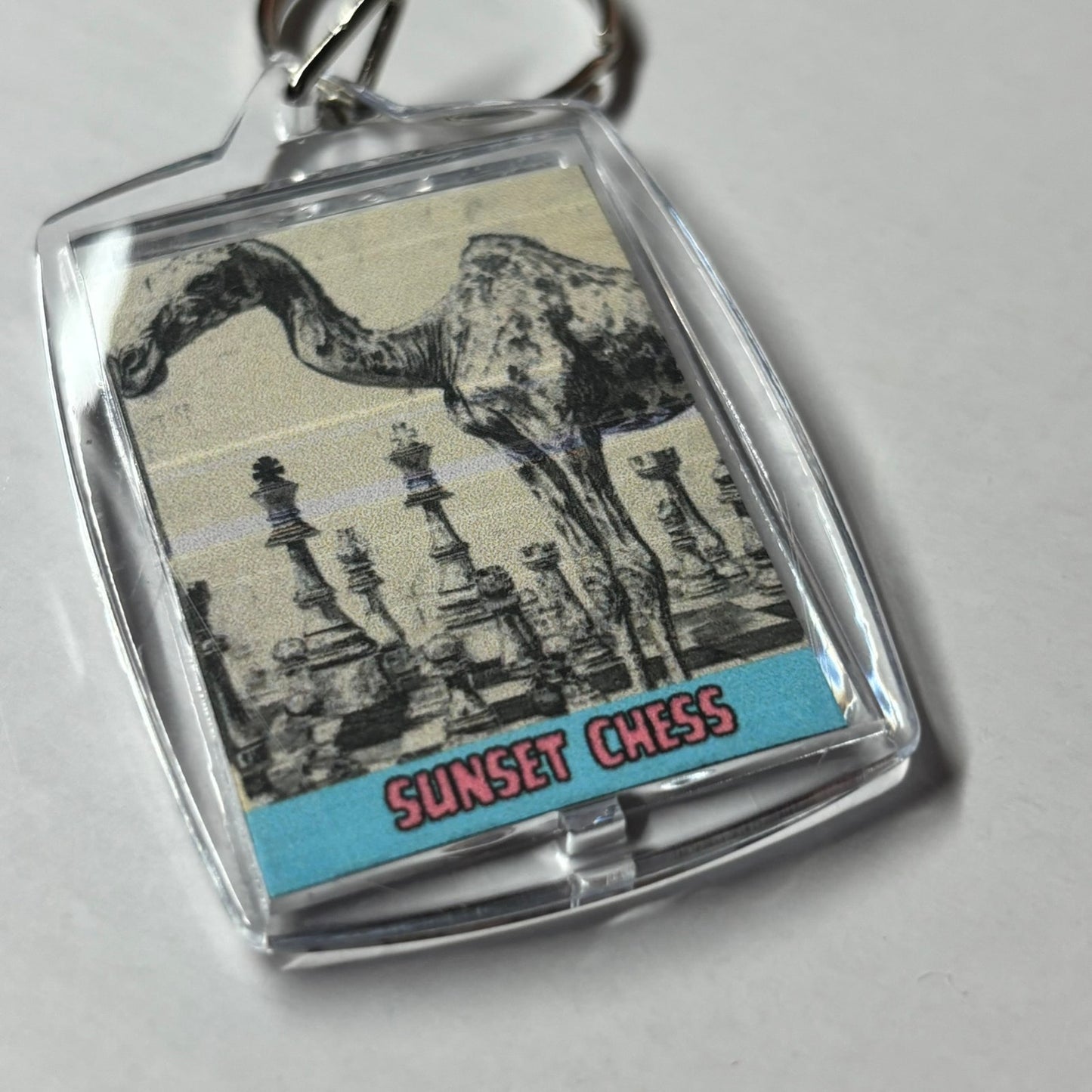 Mr. Longneck - Chess  Photo Keychain
