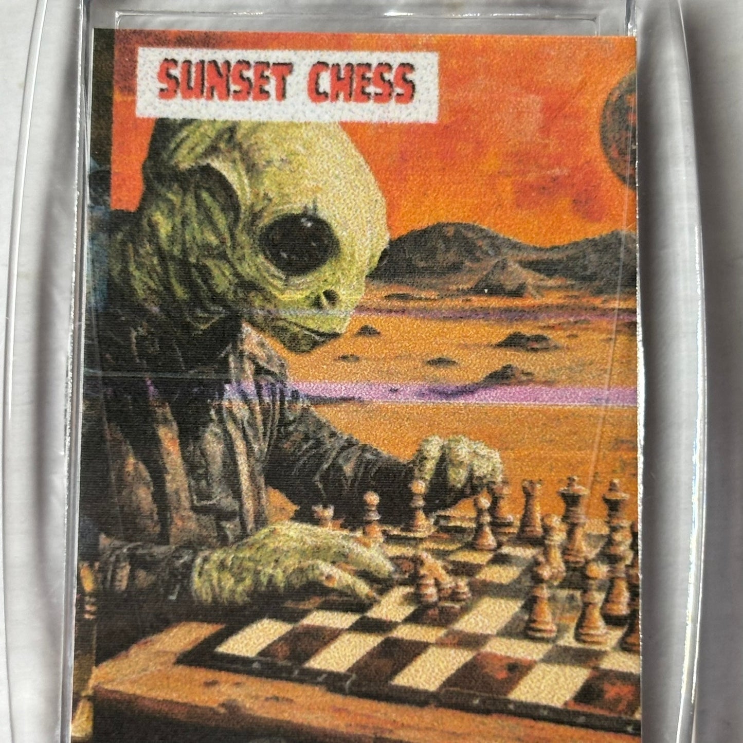 Alien on Mars - Chess  Photo Keychain