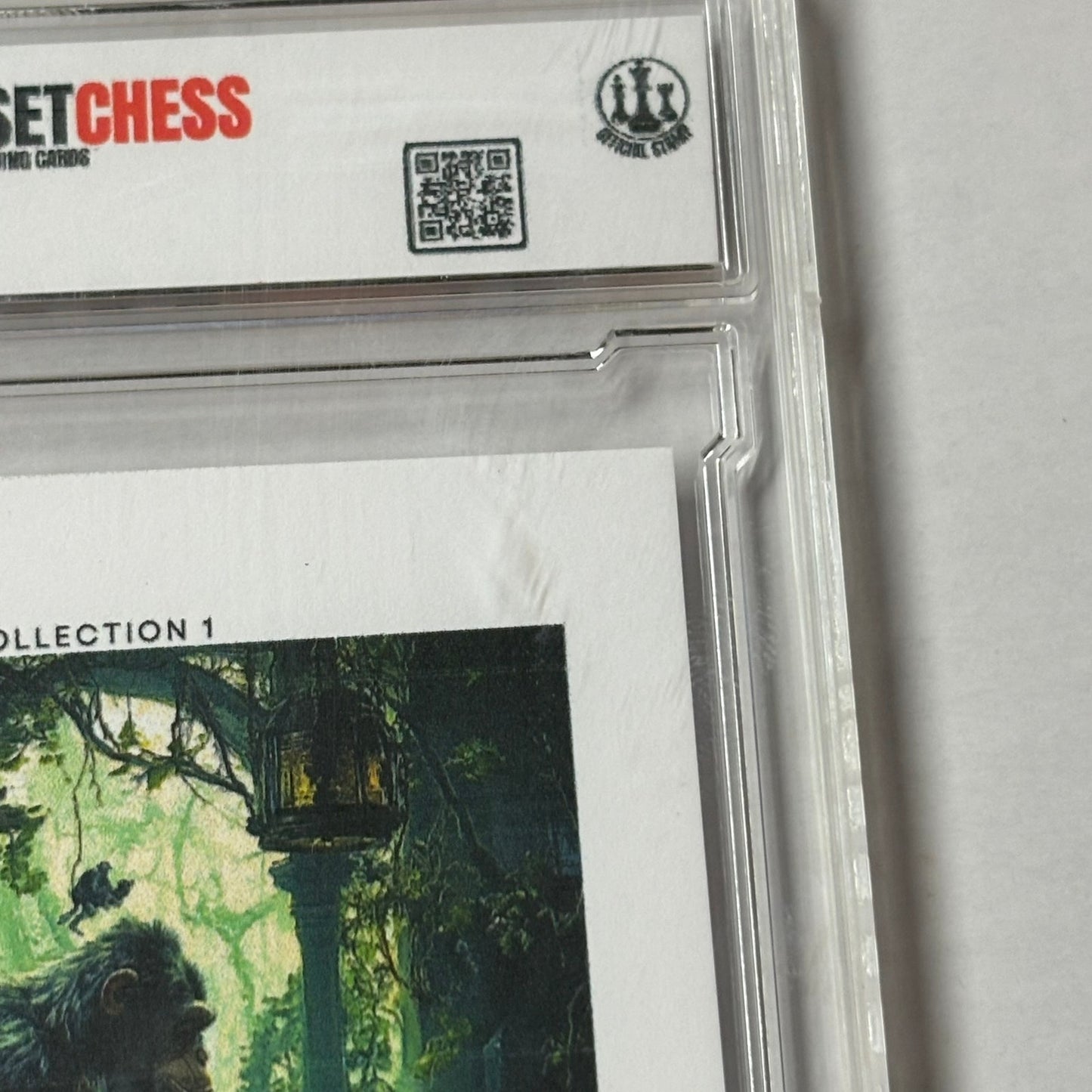Ape Kingdom Collection 1 - Premium Trading Card