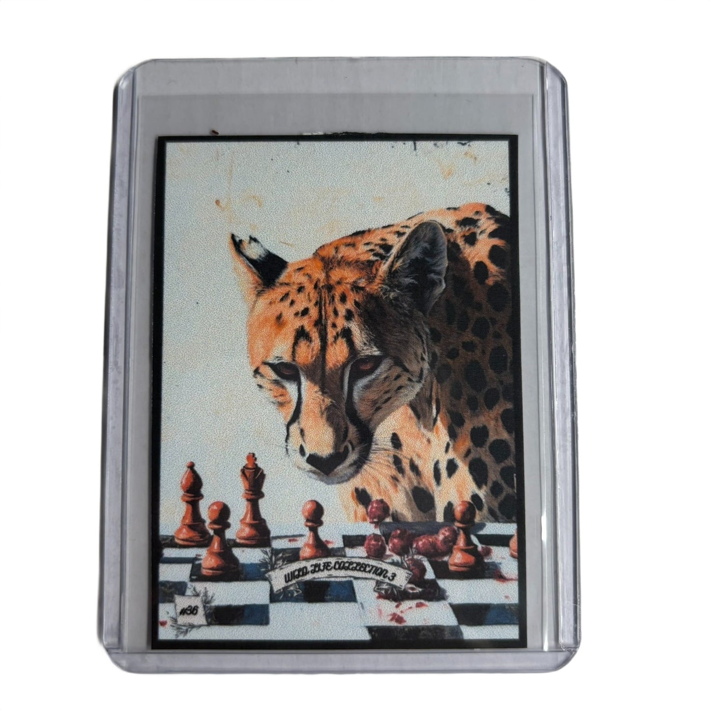 Wild Life Collection 3 - Trading Card