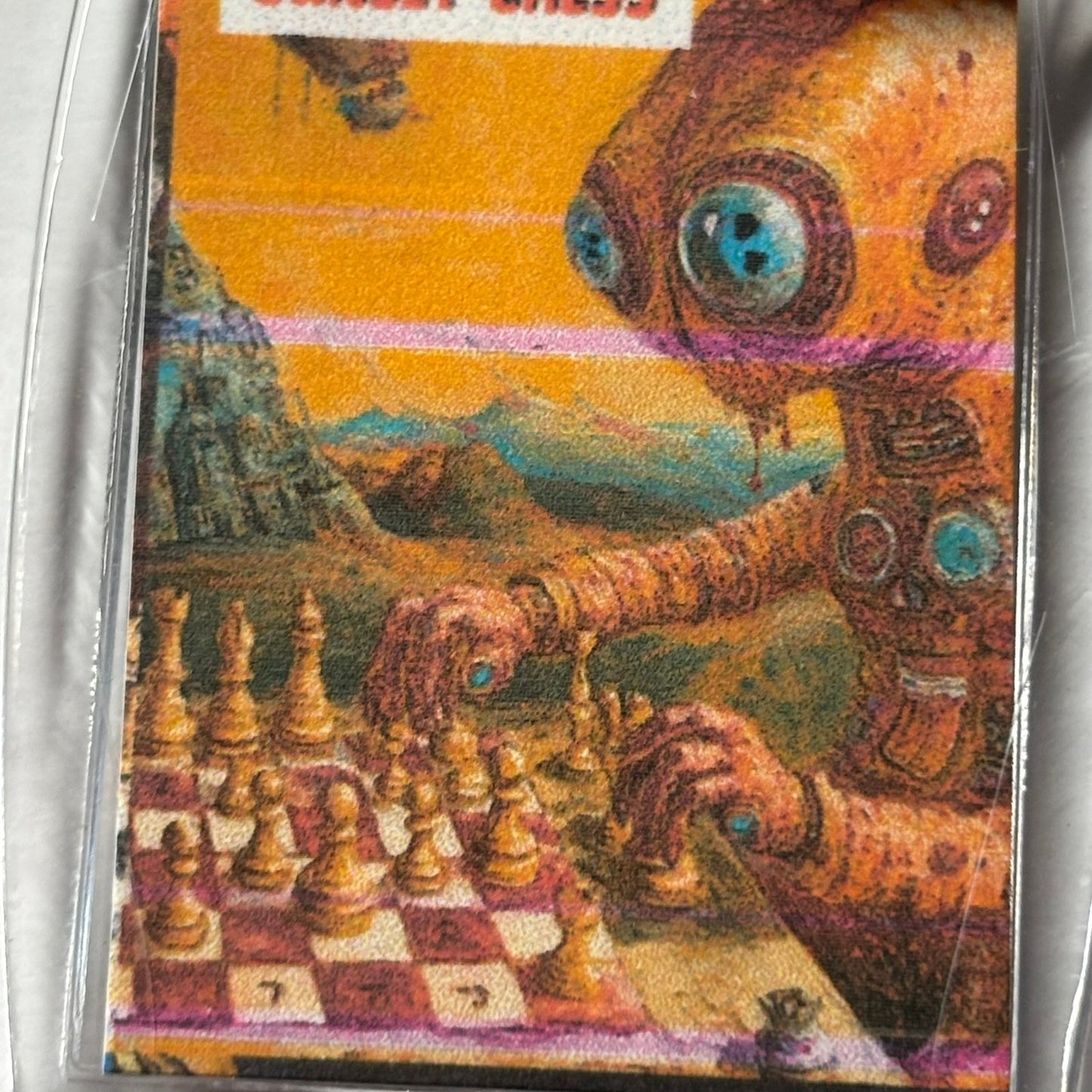 Little Critter - Chess  Photo Keychain