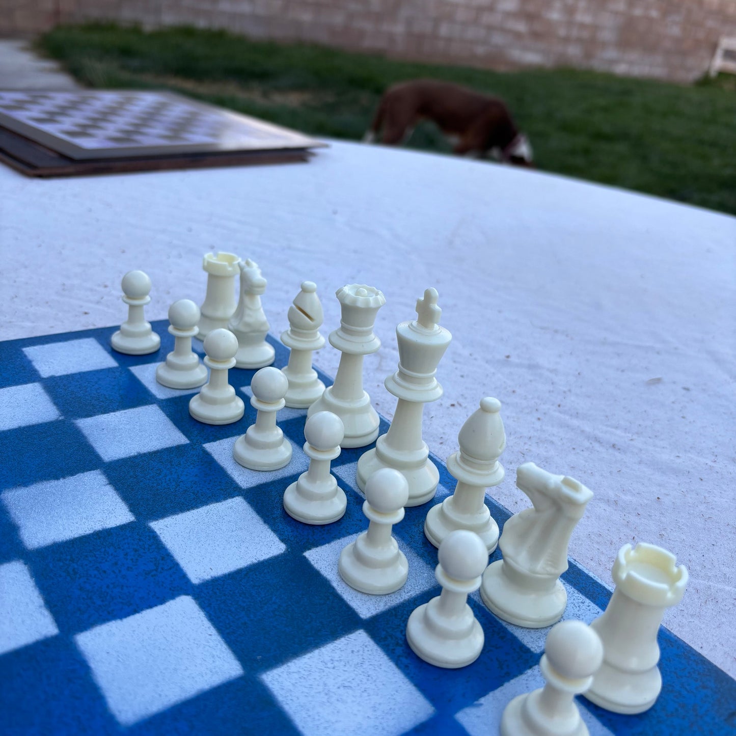 Simple Blue - Painted Chess Set