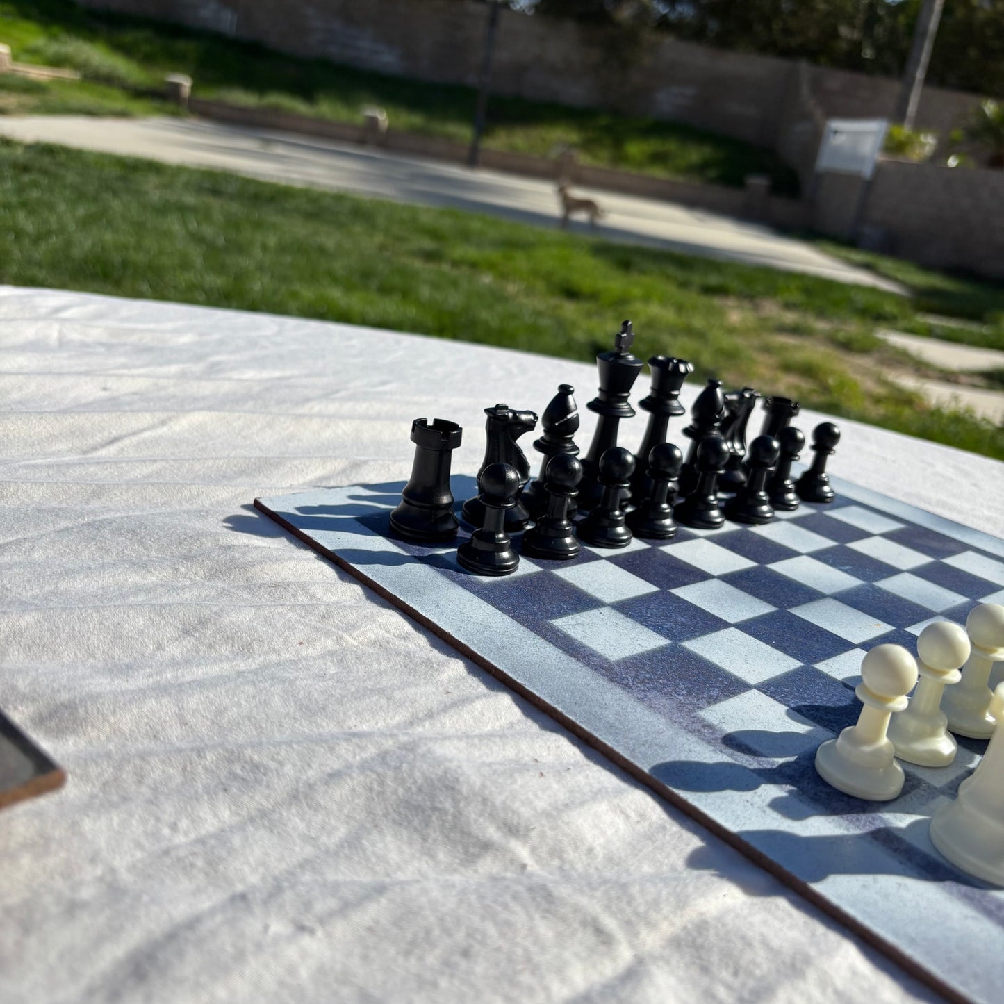 Simple Blue - Painted Chess Set
