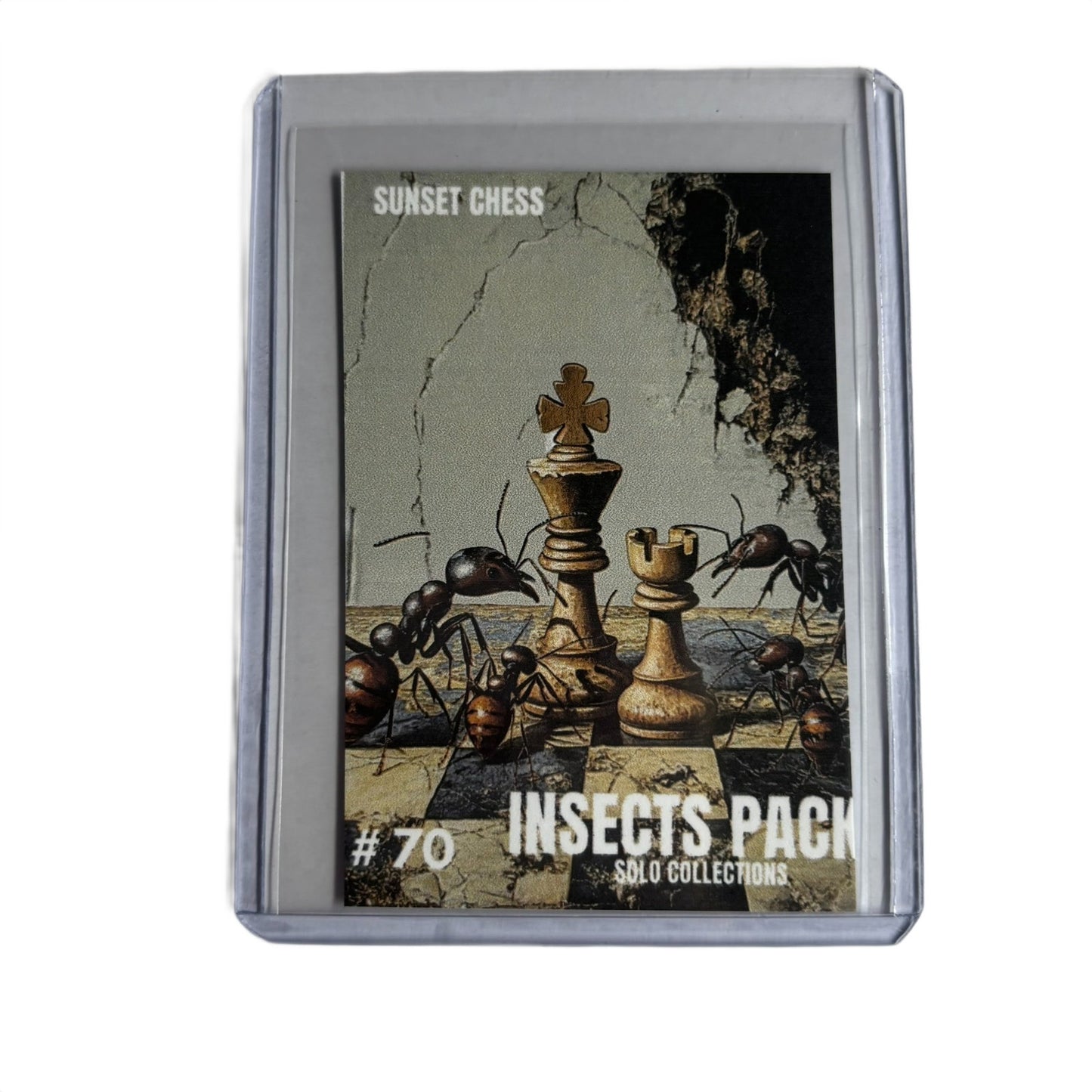 Insects Collection - Trading Card