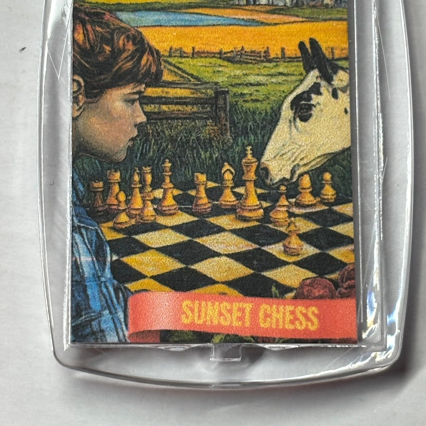 Farm Games - Chess  Photo Keychain