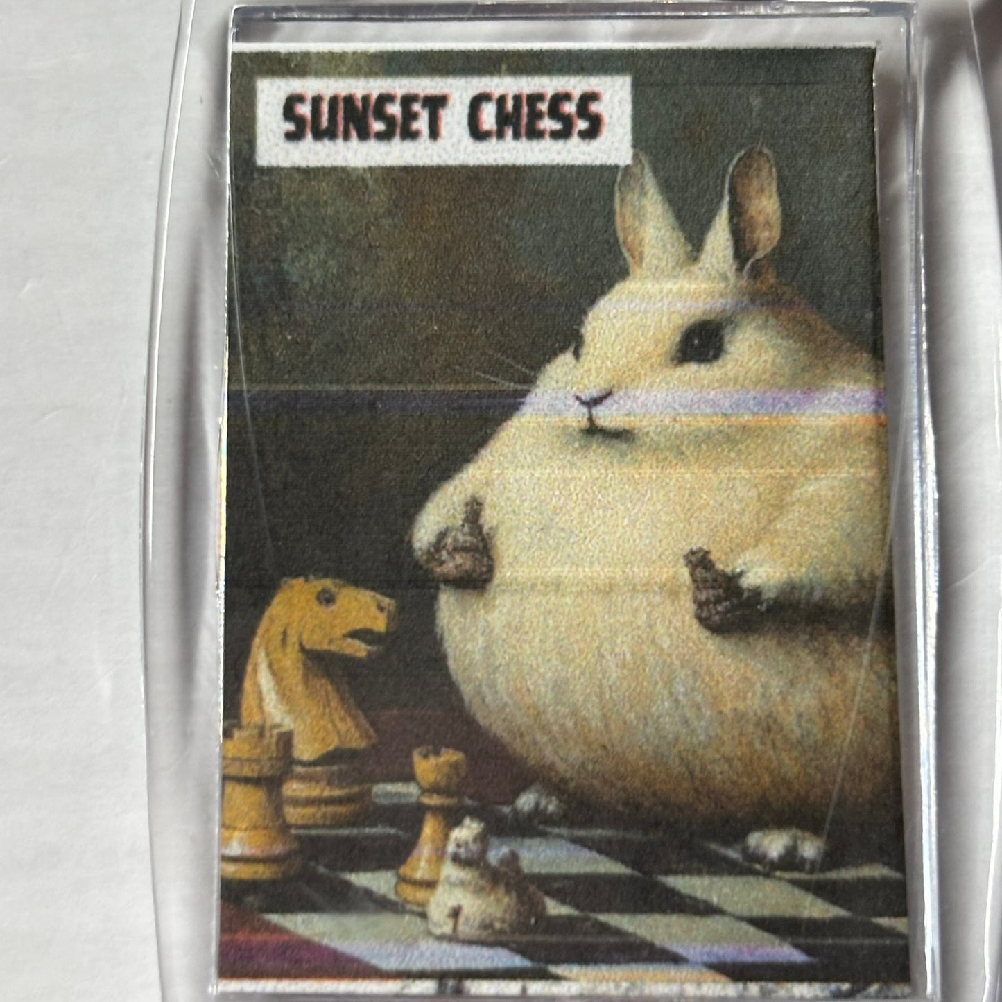 Plump Hamster - Chess  Photo Keychain