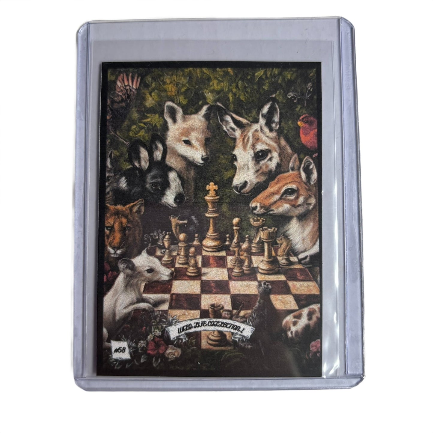 Wild Life Collection 1 - Trading Card