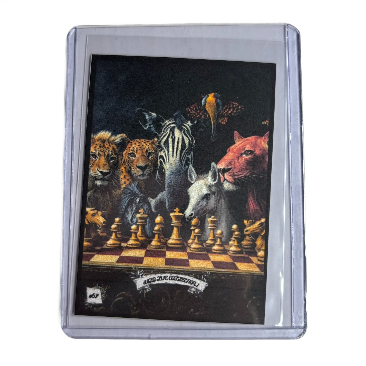 Wild Life Collection 1 - Trading Card