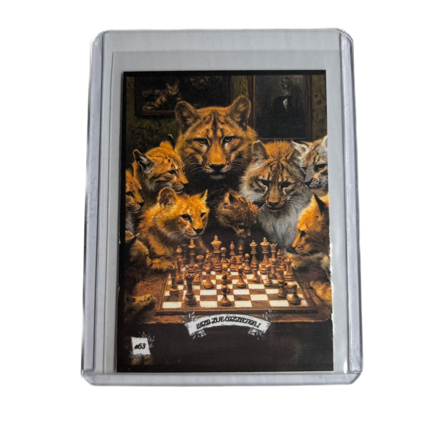 Wild Life Collection 1 - Trading Card
